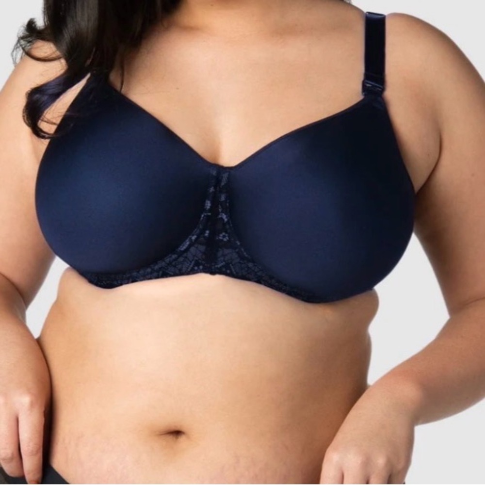 HOT MILK Midnight Blue Lace Bra